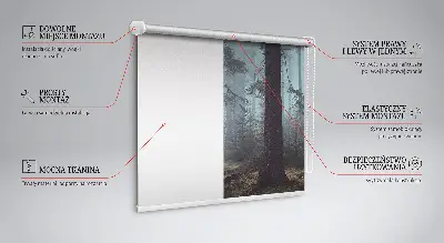 Estores de rolo em tecido Floresta à noite