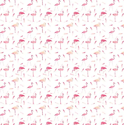 Estores de rolo interiores para janela Flamingos e suas penas