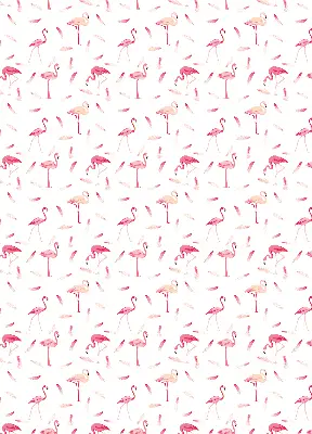 Estores de rolo interiores para janela Flamingos e suas penas