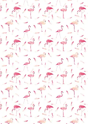 Estores de rolo interiores para janela Flamingos e suas penas