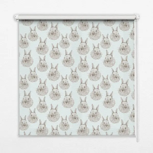 Estores de rolo interiores para janela Coelhos