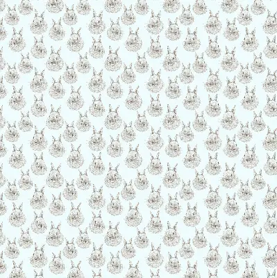 Estores de rolo interiores para janela Coelhos