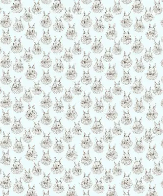 Estores de rolo interiores para janela Coelhos