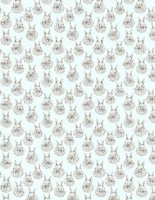 Estores de rolo interiores para janela Coelhos
