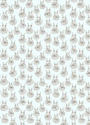 Estores de rolo interiores para janela Coelhos