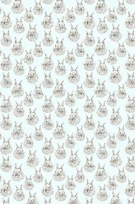 Estores de rolo interiores para janela Coelhos