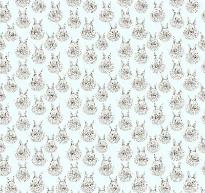Estores de rolo interiores para janela Coelhos