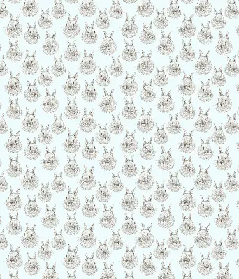 Estores de rolo interiores para janela Coelhos