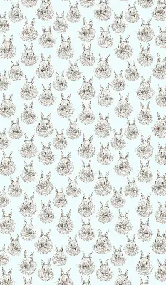 Estores de rolo interiores para janela Coelhos