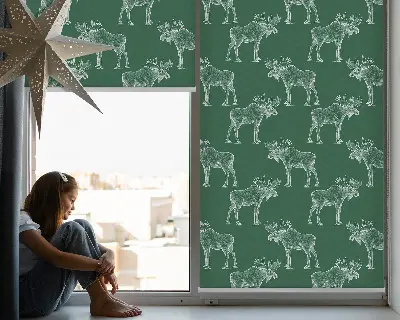 Estores de rolo para porta de varanda Alce verde