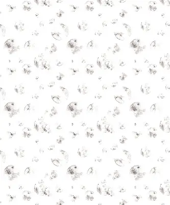 Estores de rolo para janela Planetas