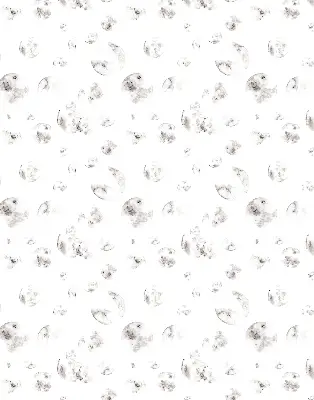 Estores de rolo para janela Planetas