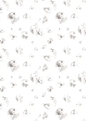 Estores de rolo para janela Planetas