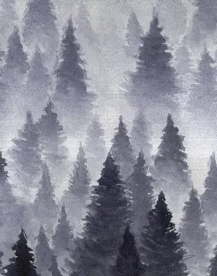Estores de rolo interiores para janela Floresta enevoada