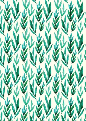 Estores de rolo interiores para janela Plantas