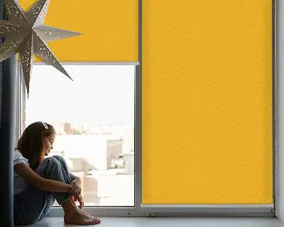 Estores de rolo interiores Laranja