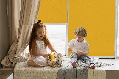 Estores de rolo interiores Laranja