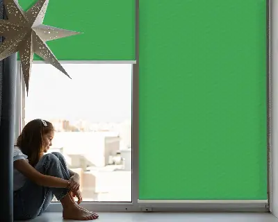 Estores de rolo para janela Verde