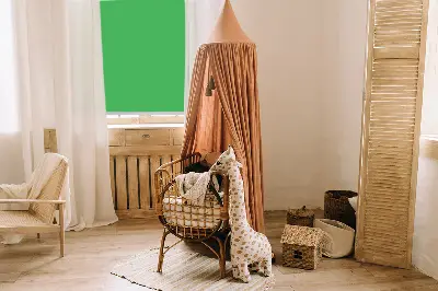 Estores de rolo para janela Verde