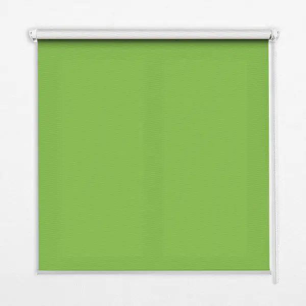 Estores de rolo interiores Verde