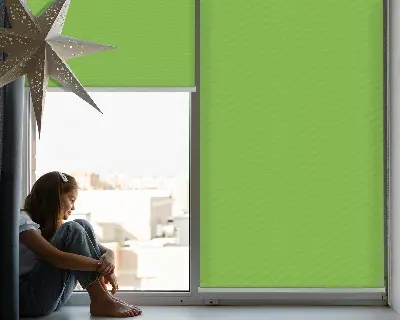 Estores de rolo interiores Verde
