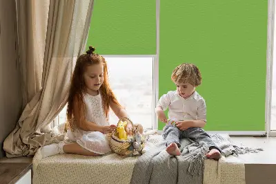 Estores de rolo interiores Verde