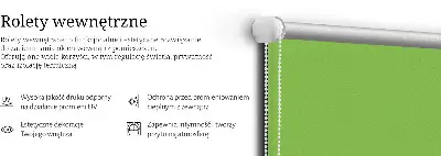 Estores de rolo interiores Verde