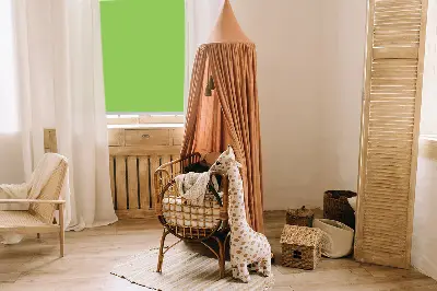 Estores de rolo interiores Verde