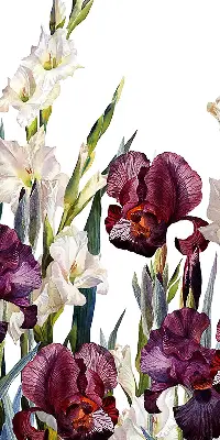 Estores de rolo para porta de varanda Florzinhas