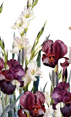 Estores de rolo para porta de varanda Florzinhas