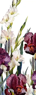 Estores de rolo para porta de varanda Florzinhas