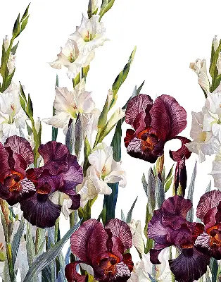 Estores de rolo para porta de varanda Florzinhas