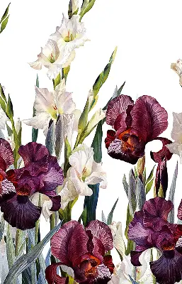 Estores de rolo para porta de varanda Florzinhas
