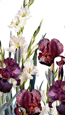 Estores de rolo para porta de varanda Florzinhas