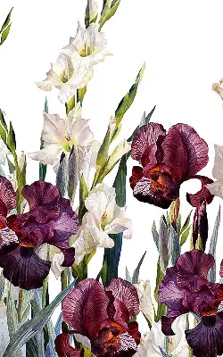 Estores de rolo para porta de varanda Florzinhas