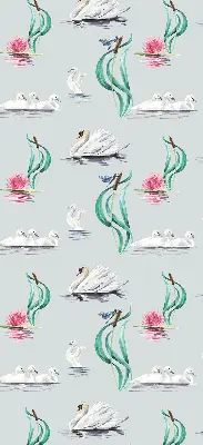 Estores de rolo interiores Cisnes e patos
