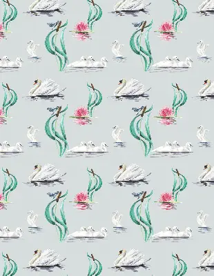 Estores de rolo interiores Cisnes e patos