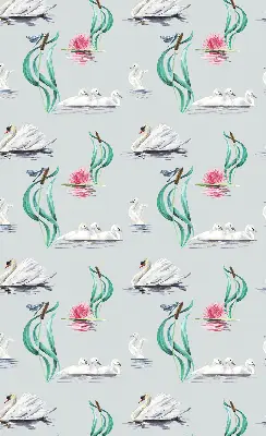 Estores de rolo interiores Cisnes e patos
