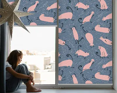 Estores de rolo interiores para janela Gatos cor-de-rosa