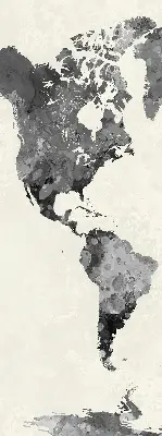 Estores de rolo interiores continentes negros
