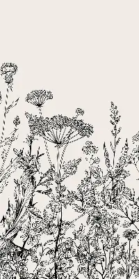 Estores de rolo interiores para janela Flores cinzentas
