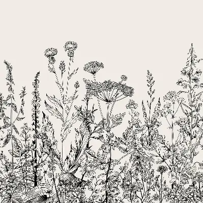 Estores de rolo interiores para janela Flores cinzentas