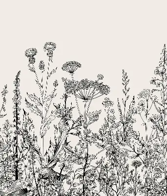 Estores de rolo interiores para janela Flores cinzentas