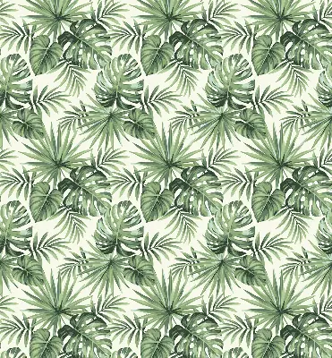 Estores de rolo interiores Diversas folhas