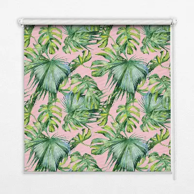 Estores de rolo em tecido Variedades de folhas tropicais