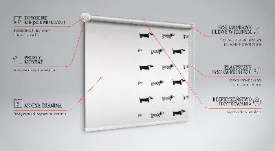 Estores de rolo para porta de varanda cães desenhados