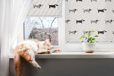 Estores de rolo para porta de varanda cães desenhados