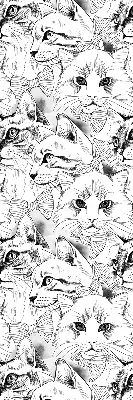 Estores de rolo em tecido Gatos desenhados