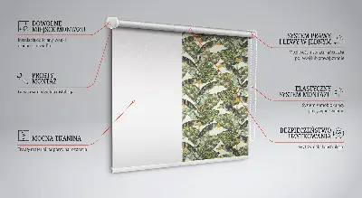Estores de rolo interiores para janela Folhas