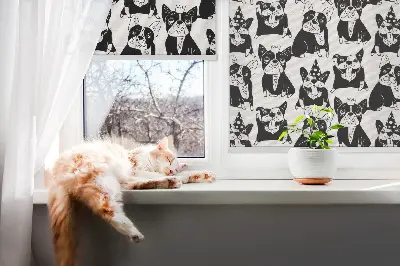 Estores de rolo interiores para janela cães desenhados